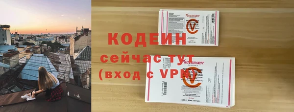 apvp Горнозаводск