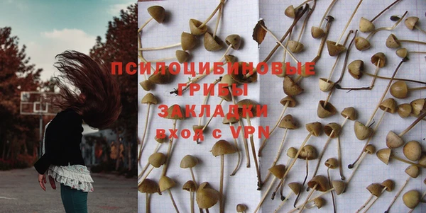 стаф Гусиноозёрск