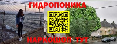 spice Гусь-Хрустальный