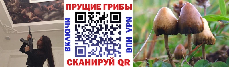MEGA рабочий сайт  Обь  Псилоцибиновые грибы Magic Shrooms 